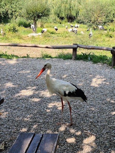 Photo 2 de Naturoparc
