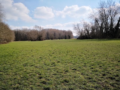 Photo 4 of Bois de Warwamme