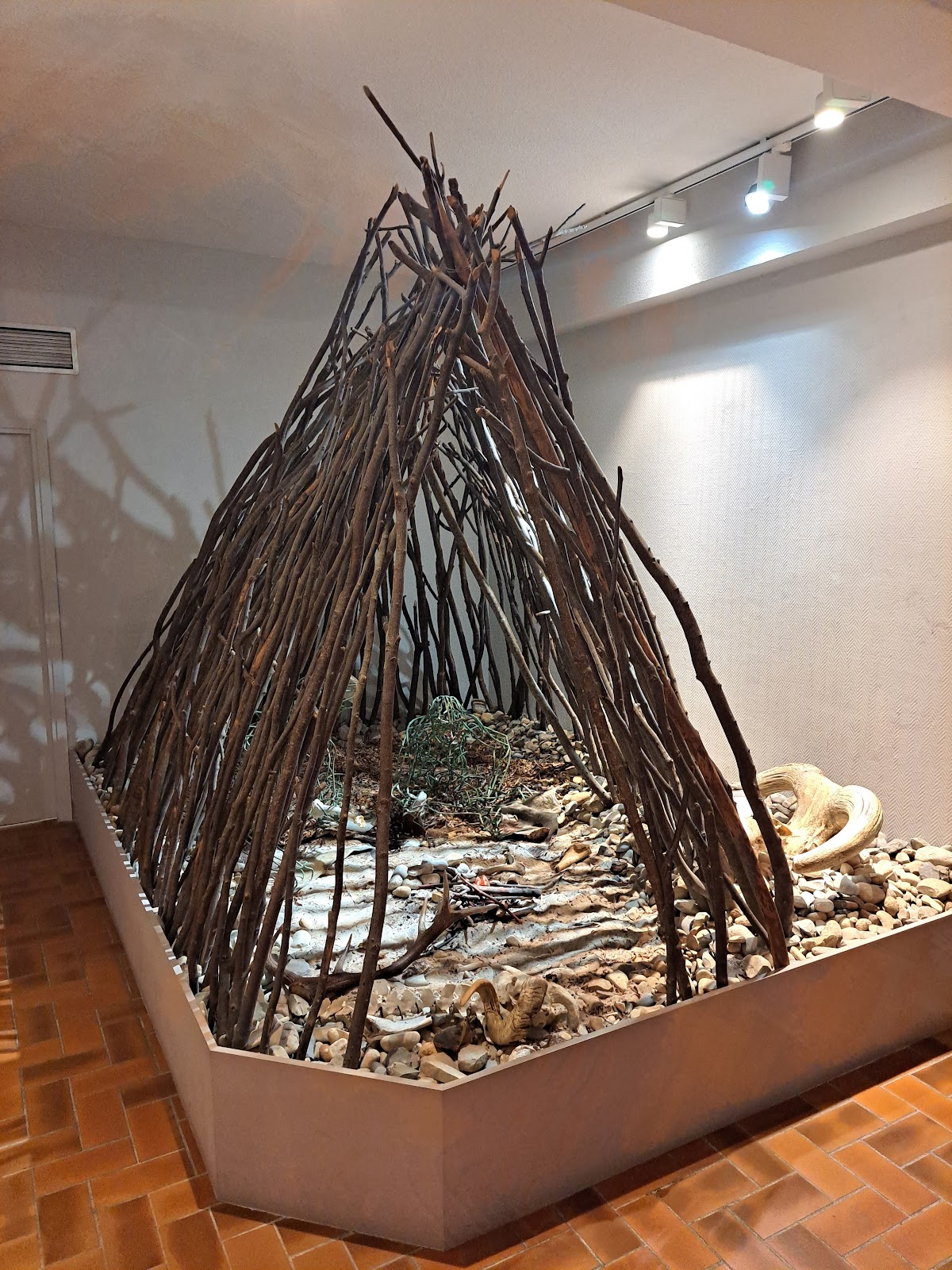 Photo 2 de Musée de Préhistoire de Terra Amata