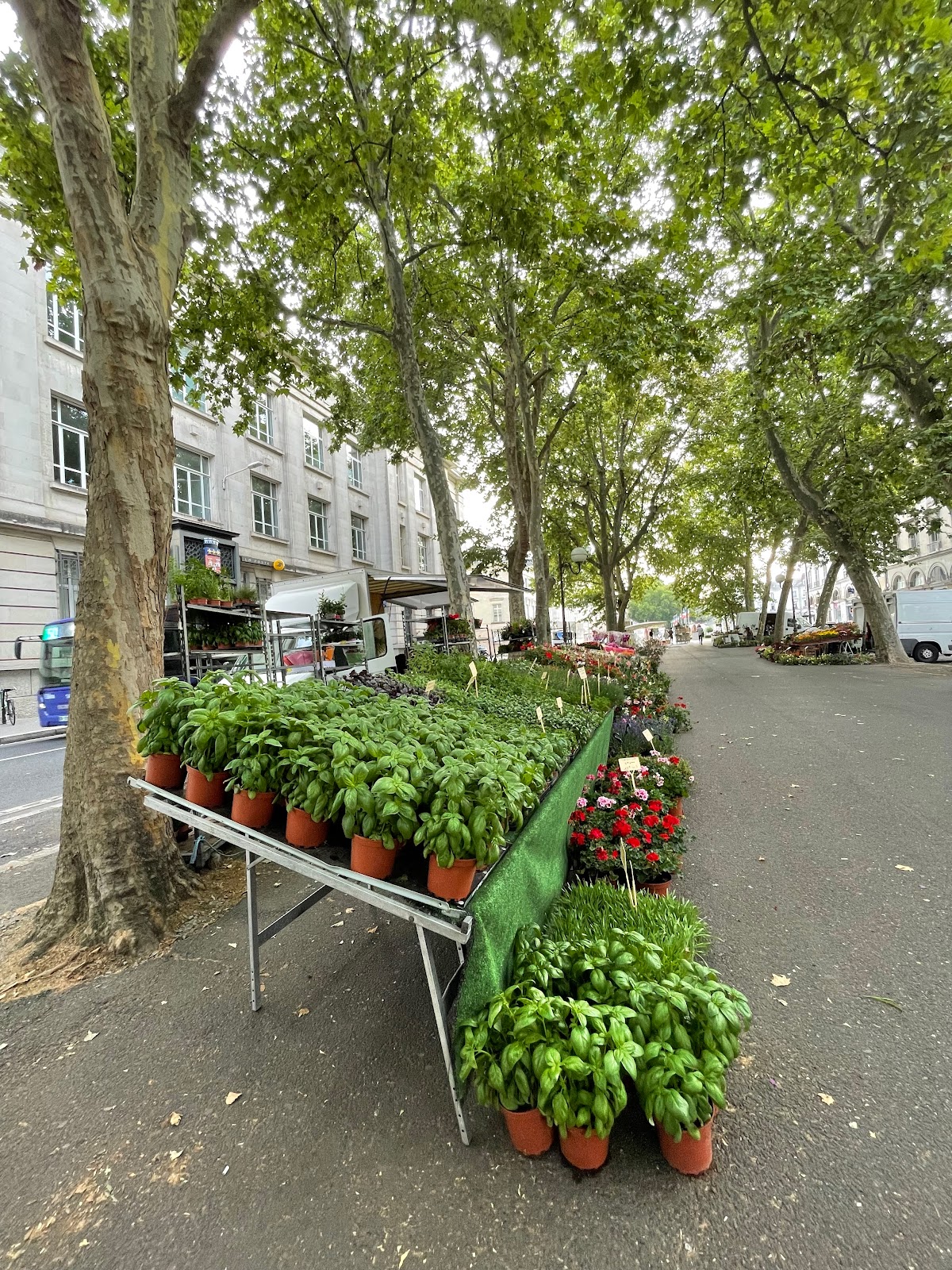 Photo 3 of Marché Aux Fleurs