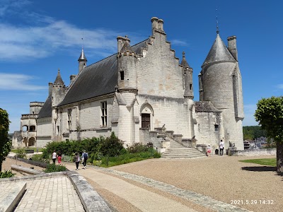 Photo 4 de Château de Loches