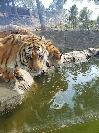 Photo 1 de EcoZonia - Parc Animalier