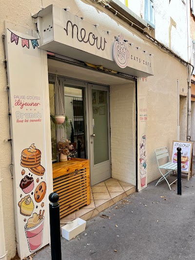 Photo 2 de Meow Cats Café - Cats & Coffee (+10 ans uniquement)