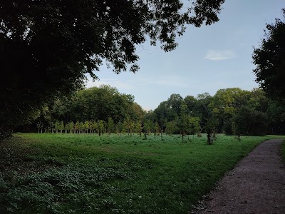 Photo 2 de Bois de Lébisey