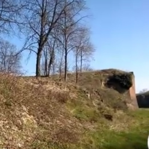 Fortifications Vauban de Neuf-Brisach