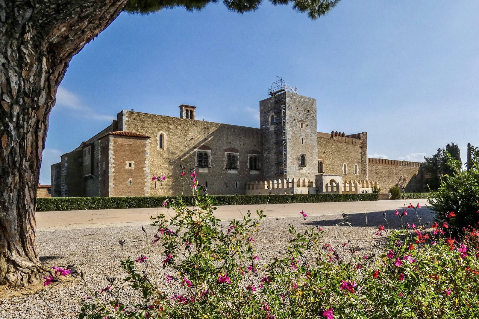 Photo 3 of Palais des rois de Majorque
