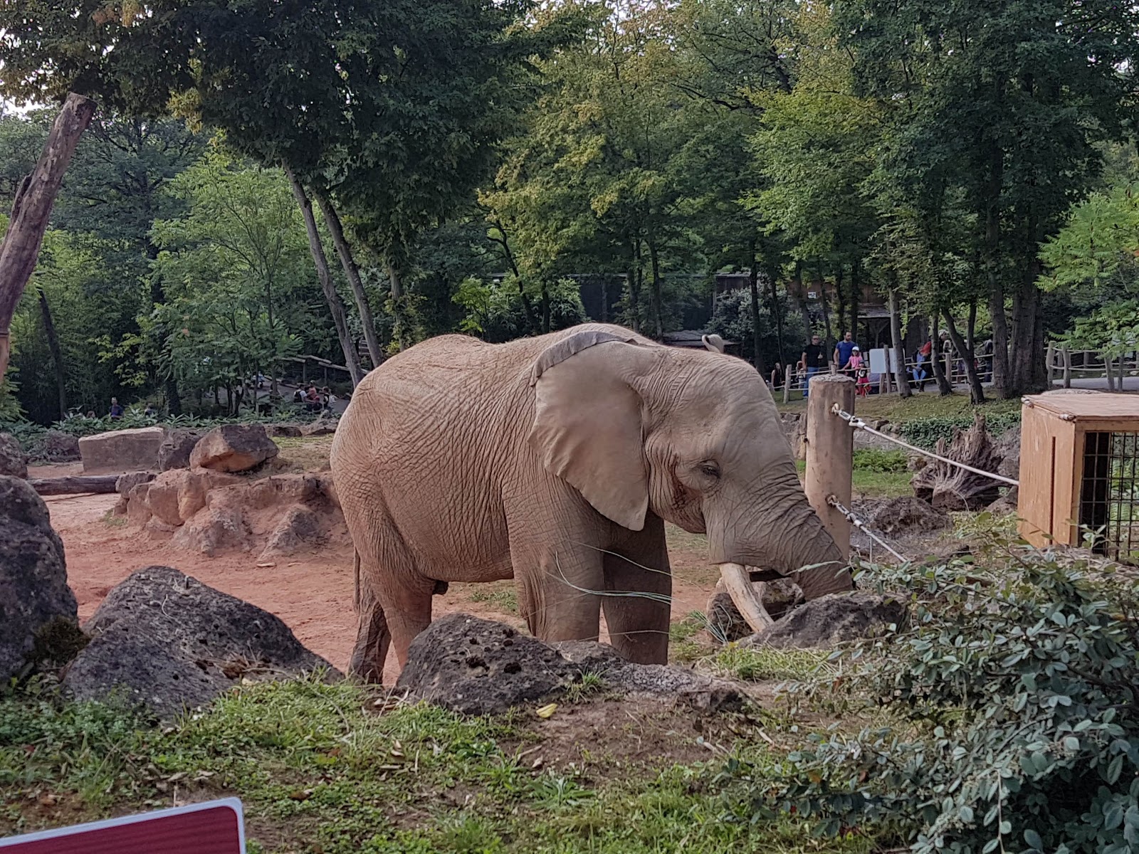 Photo 4 de Zoo d'Amnéville