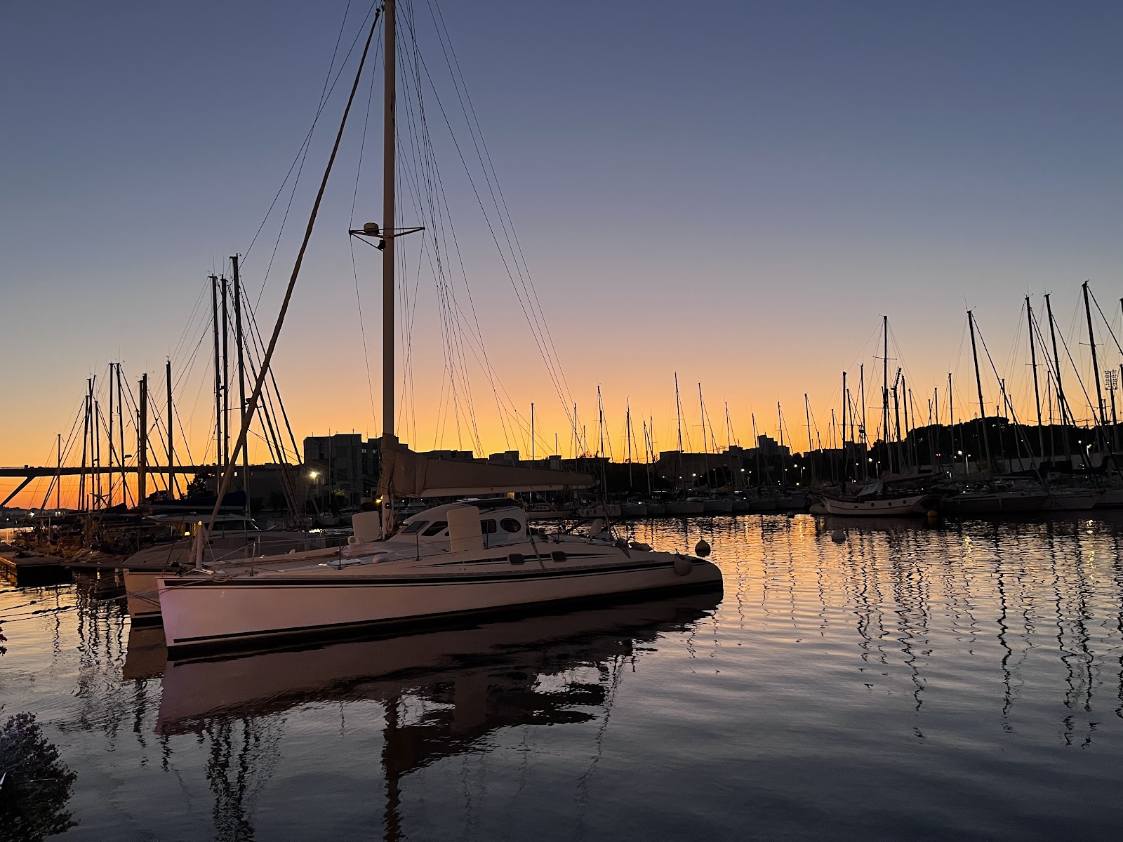 Photo 4 de L'Authentique - Restaurant Martigues