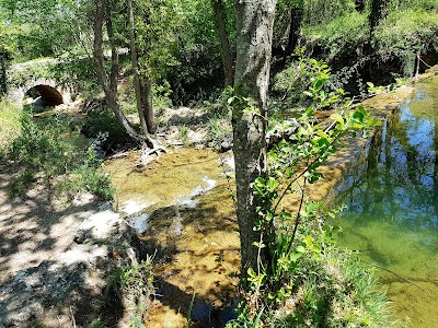 Photo 3 de Parc Départemental de la Tour de l'Arbois