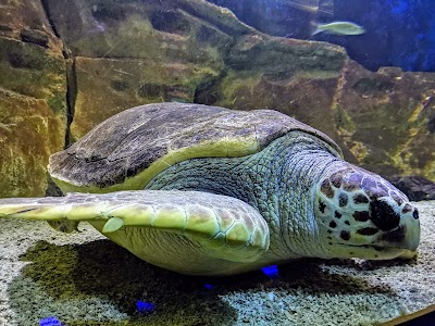 Photo 4 de Seaquarium du Grau-du-Roi