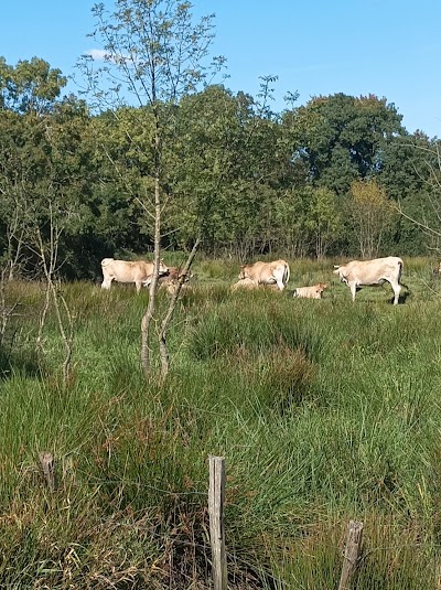 Photo 3 de Marais Tougas