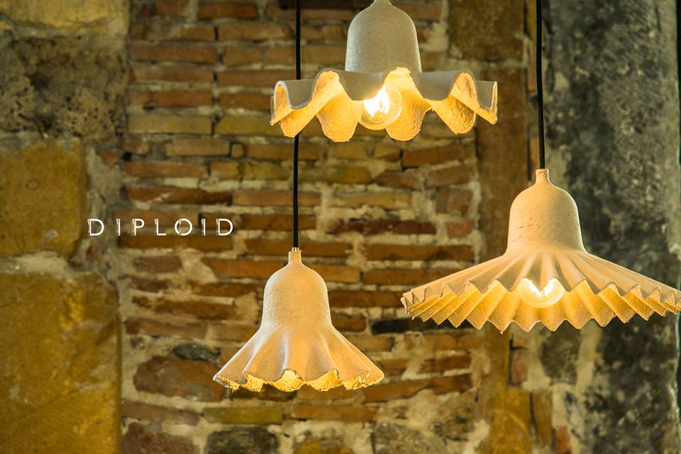 Photo 4 de Diploid