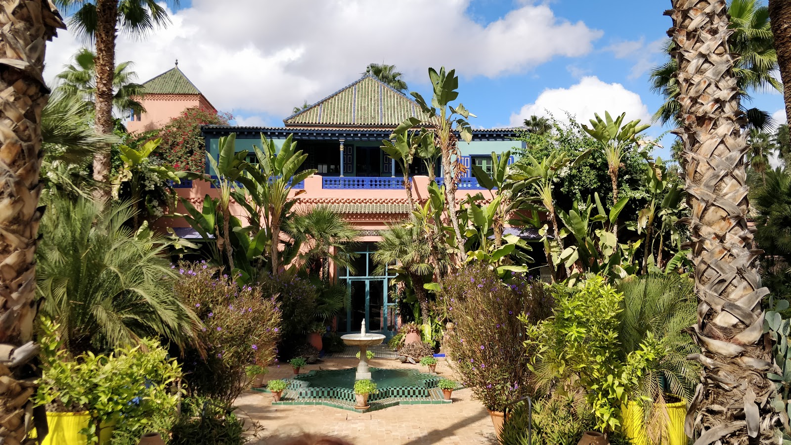 Photo 3 de Jardin Majorelle