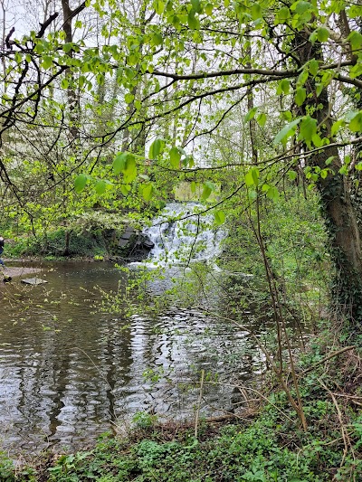 Photo 2 de Cascade de Wargnies-le-petit