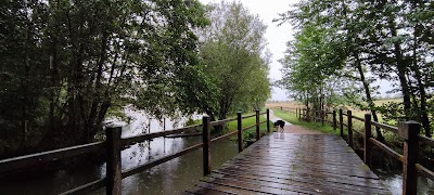 Photo 4 de Étang de Saint Georges sur Eure