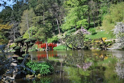 Photo 4 de Parc Oriental de Maulévrier