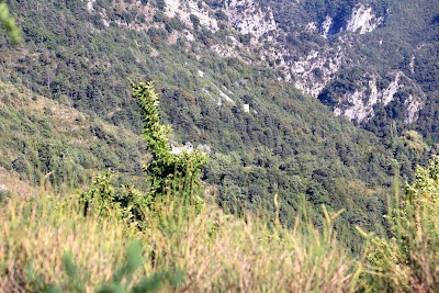Photo 5 de Saorge