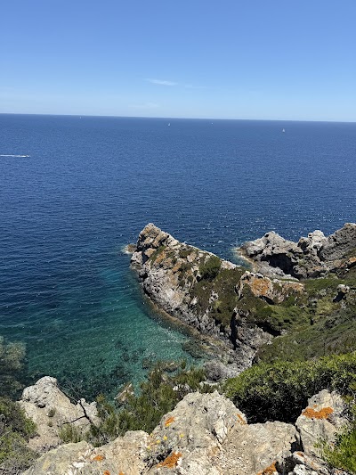 Photo 4 de Porquerolles