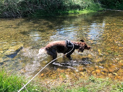 Photo 4 de Lac de Champos