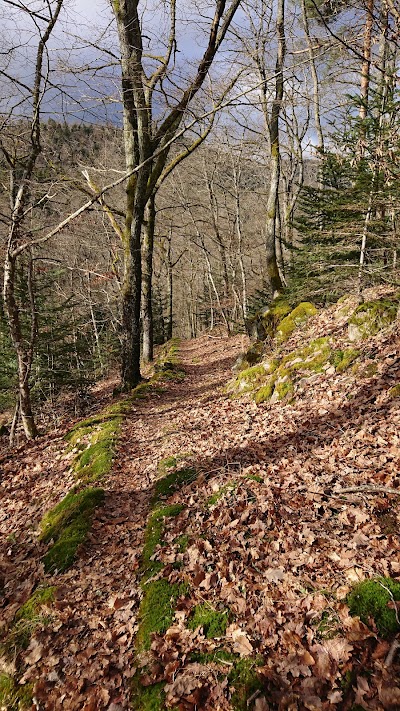 Photo 2 de Walbach