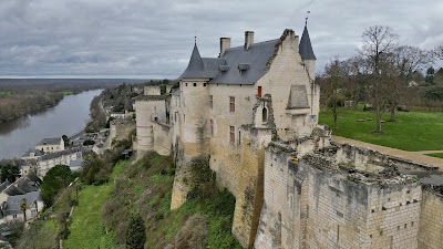 Photo 5 de Forteresse Royale de Chinon