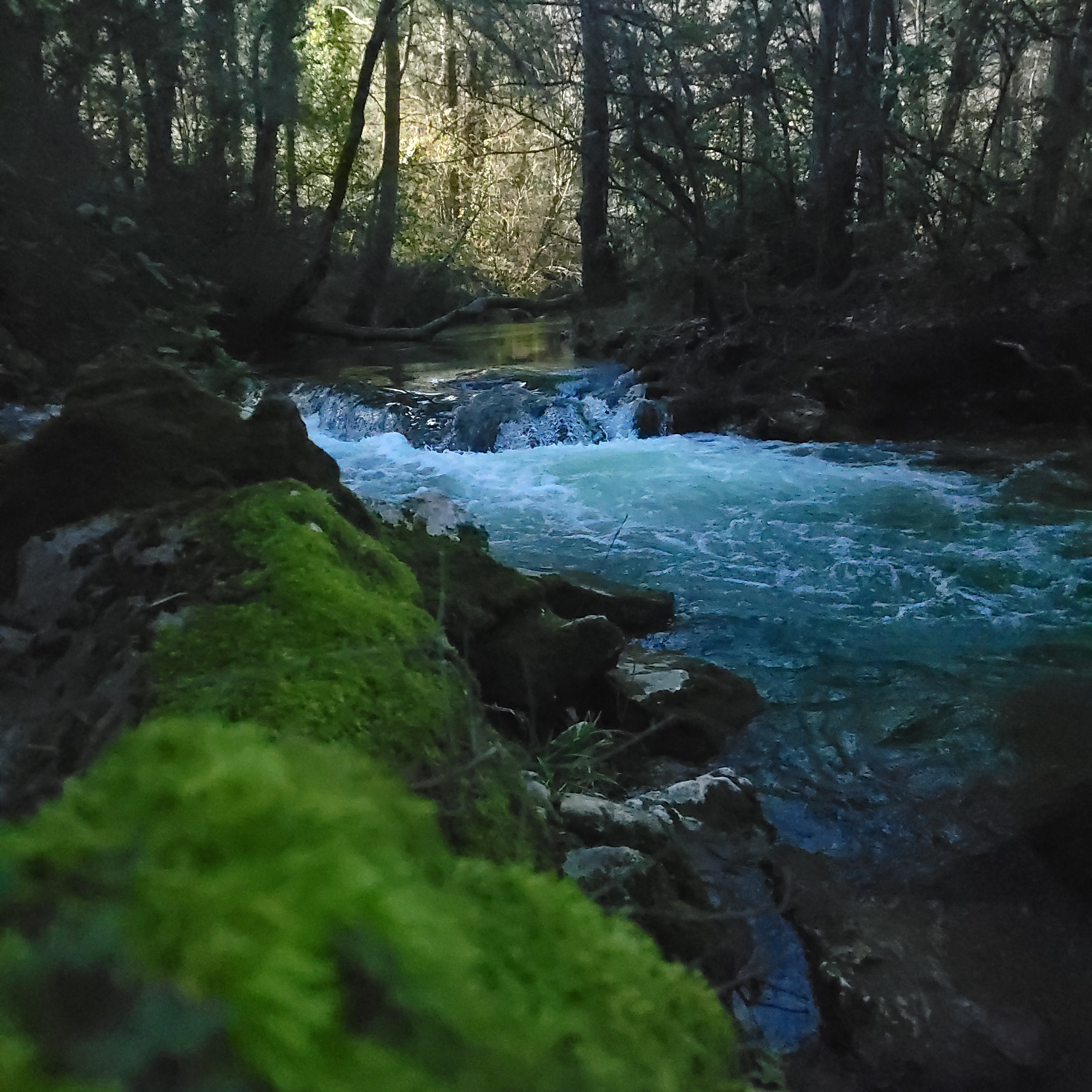 Photo 2 de Gorges du Caramy