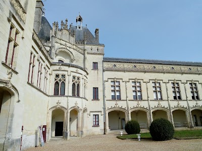 Photo 4 de Château de Brézé