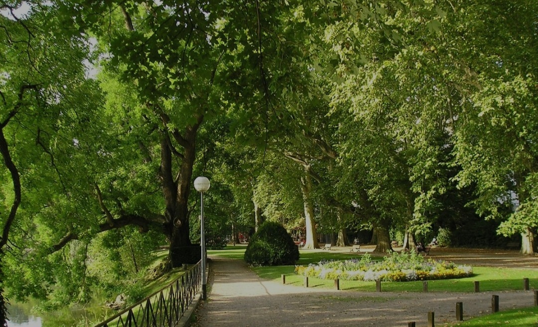 Photo 3 de Parc Micaud