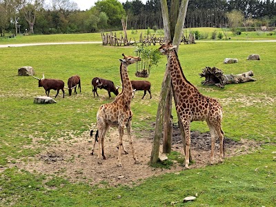 Planète Sauvage