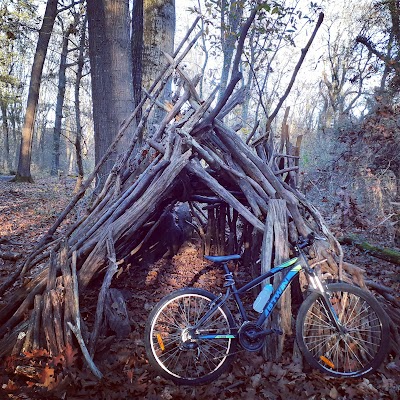 Photo 4 of Bois de Pau