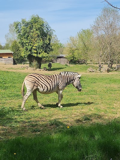 Photo 2 de Parc de l'Auxois