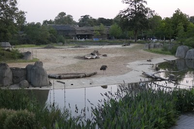 Photo 2 de Parc zoologique de Paris