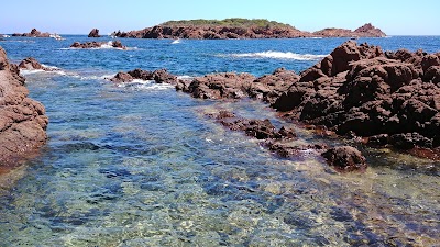 Photo 3 de Île des Vieilles