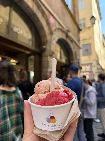 Photo 2 de Terre adélice 🍦