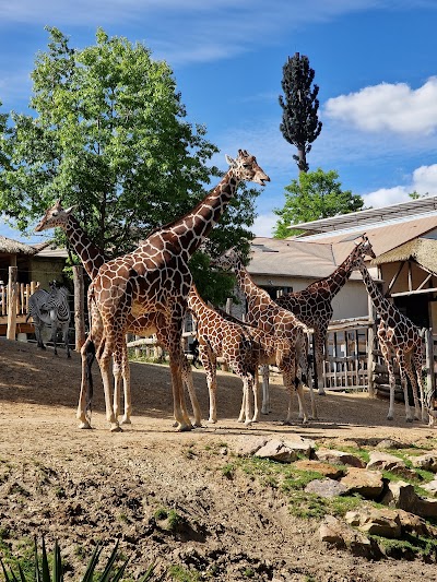 Photo 4 de Zoo de Beauval