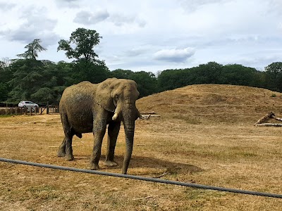 Photo 5 de Zoo Thoiry