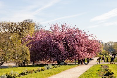Photo 3 of Jardin des Plantes