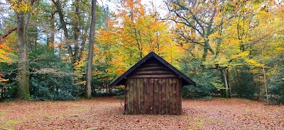 Photo 2 de Forêt du Gâvre