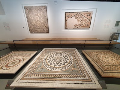 Photo 4 de Musée de la Romanité