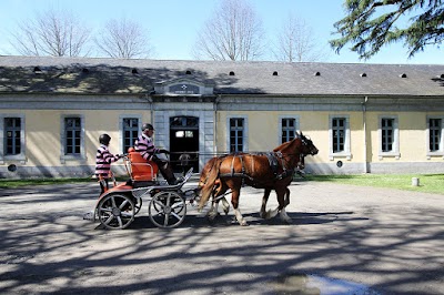 Photo 5 de Haras de Tarbes