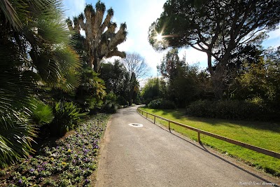 Photo 3 of Parc Olbius Riquier