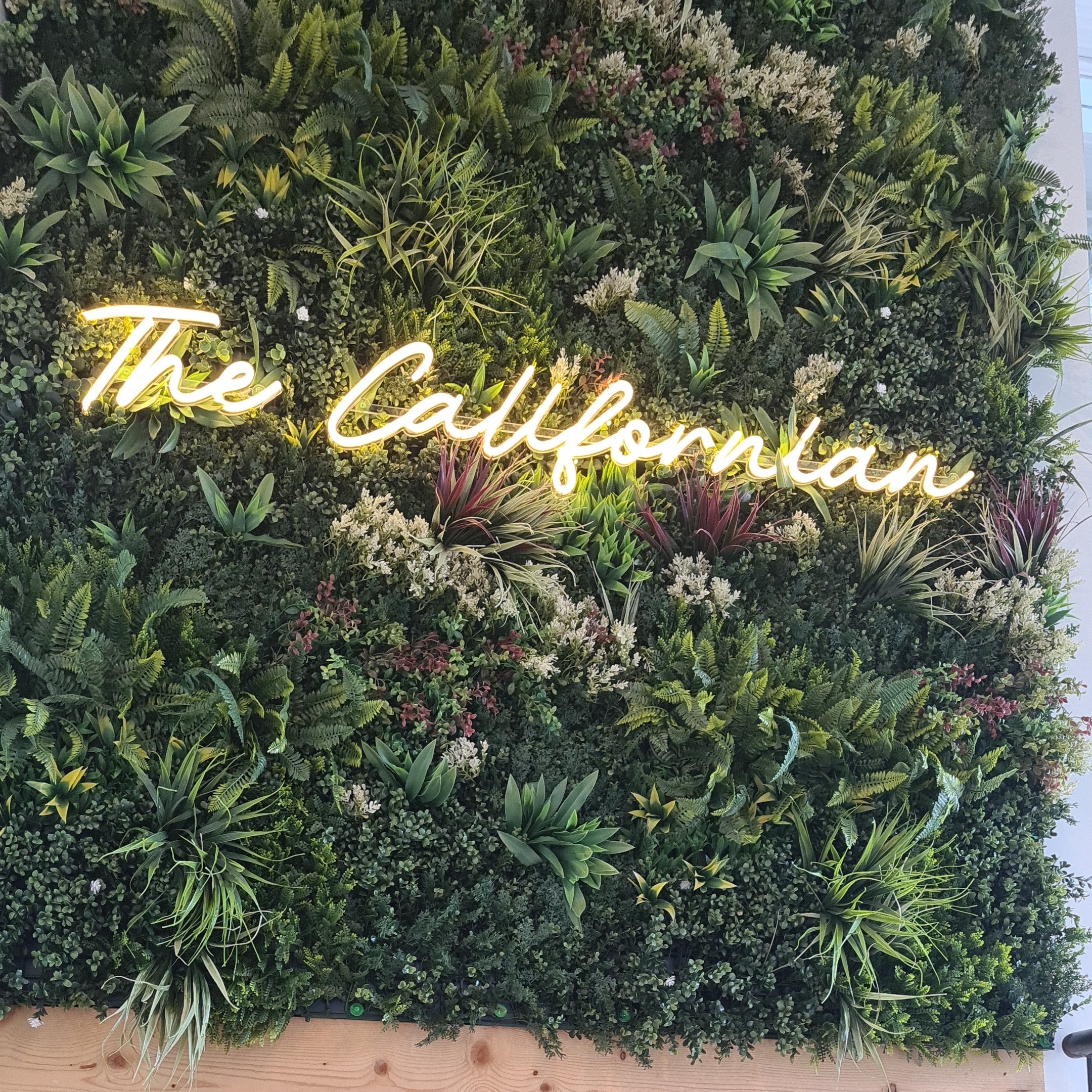 Photo 1 de The Californian Jean Jaurès