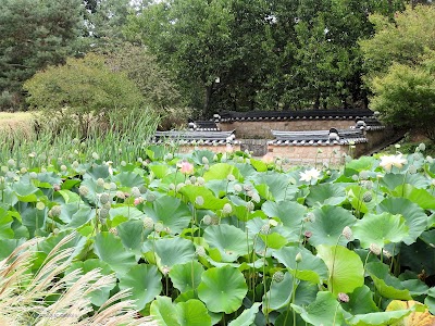Photo 3 of Parc du Grand Blottereau