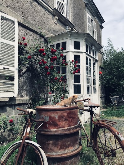 Photo 4 de Le Sanatorium Hermann - L'escape game d'horreur avec Comédiens