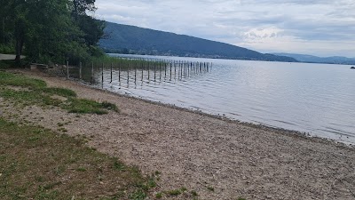 Photo 4 de Plage de St Jorioz
