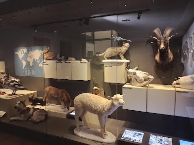 Photo 3 de Muséum départemental du Var