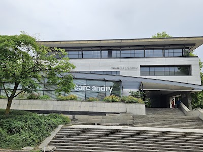 Photo 1 de Musée de Grenoble