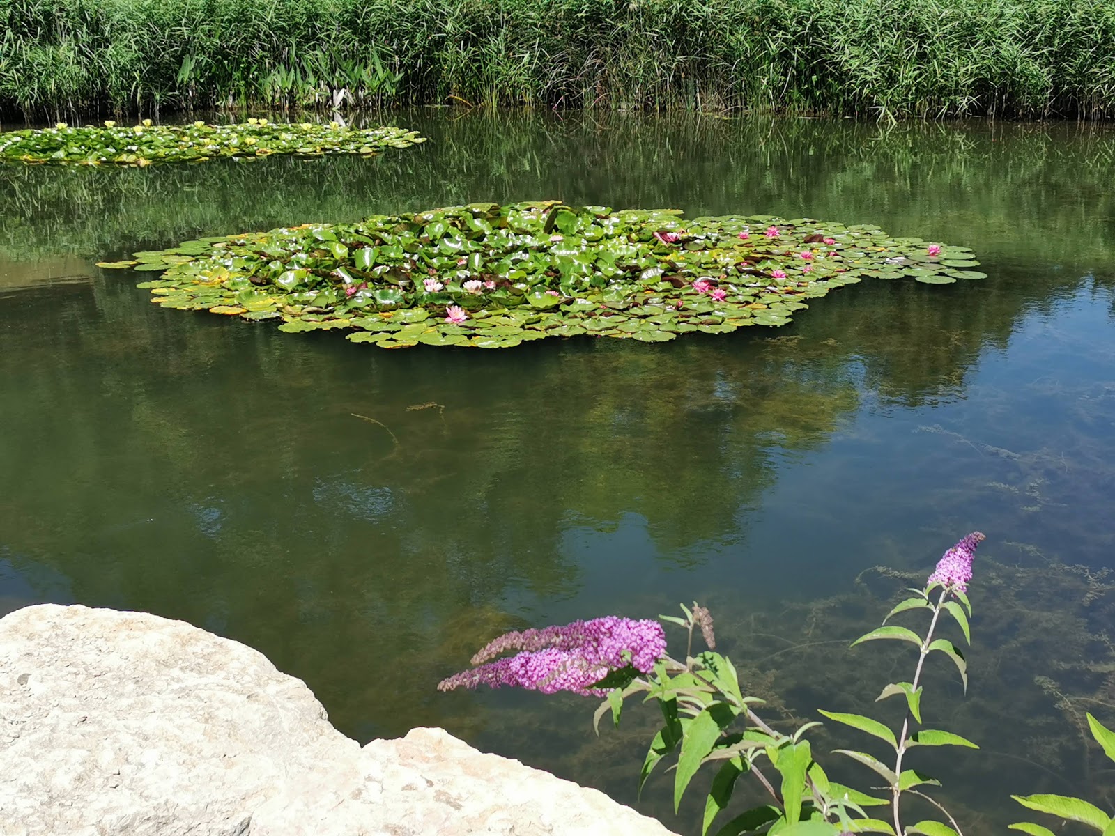 Photo 3 of Parc des Jardins de Haute-Savoie