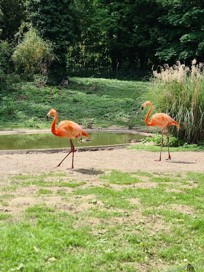 Photo 3 de Parc Zoologique et Botanique de Mulhouse