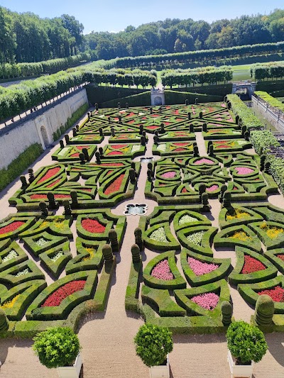 Photo 3 de Château de Villandry